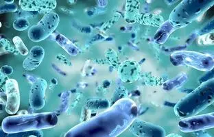 پروبیوتیک‌ها، پری‌بیوتیک‌ها و پست‌بیوتیک‌ها چه تفاوتی باهم دارند؟