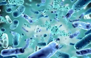 پروبیوتیک‌ها، پری‌بیوتیک‌ها و پست‌بیوتیک‌ها چه تفاوتی باهم دارند؟