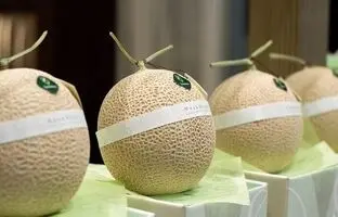 (ویدئو) این گرانترین میوه فروشی دنیاست!