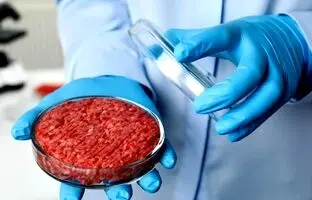 گوشت آزمایشگاهی 25 برابر بیشتر از گوشت سنتی CO2 تولید می‌کند
