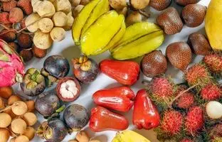 (ویدئو) عجیب ترین میوه های جهان که نامشان را هم نشنیده اید!