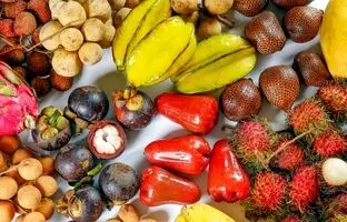 (ویدئو) عجیب ترین میوه های جهان که نامشان را هم نشنیده اید!