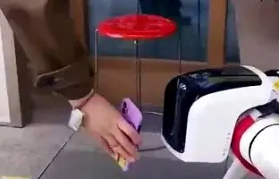 (ویدئو) سگ های رباتیکی که کارت واکسن چینی ها را چک می کنند!