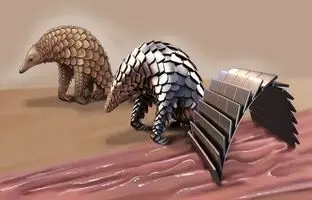 ربات «پانگولینی» که در معده فعالیت می‌کند