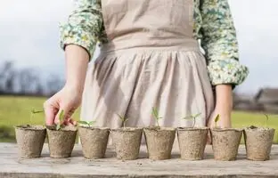 راهنمای آسان کاشت سبزی خوردن در خانه