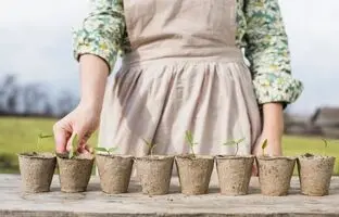 راهنمای آسان کاشت سبزی خوردن در خانه