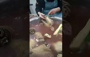 (ویدئو) سرو متفاوت کله پاچه در یک کله پزی چینی