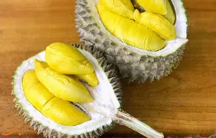 (ویدئو) تولید شکلات از بدبوترین میوه جهان