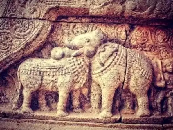  رازهای خودشناسی در یک تست باستانی: سفری 900 ساله به درون