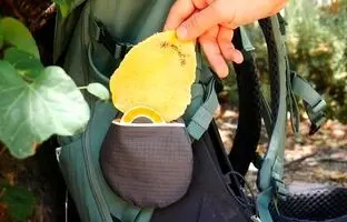 (ویدئو) با جایگزین عجیب دستمال توالت آشنا شوید!