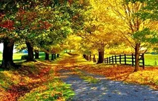(ویدئو) ویدئویی زیبا از تغییر فصل در یک کوچه
