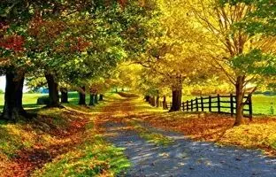 (ویدئو) ویدئویی زیبا از تغییر فصل در یک کوچه
