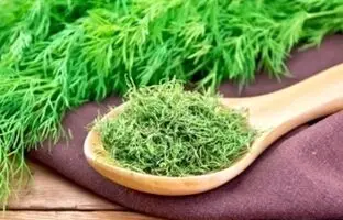 شوید را چگونه سبز و خوشرنگ خشک کنیم؟