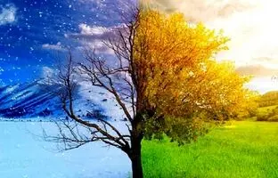 (ویدئو) فیلمی حیرت انگیز از تغییر فصل در مکانی مشترک