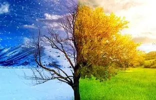 (ویدئو) فیلمی حیرت انگیز از تغییر فصل در مکانی مشترک