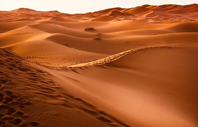 (ویدئو) یک راهکار ابتکاری و فوق العاده زیبای بیابان زدایی در صحرا