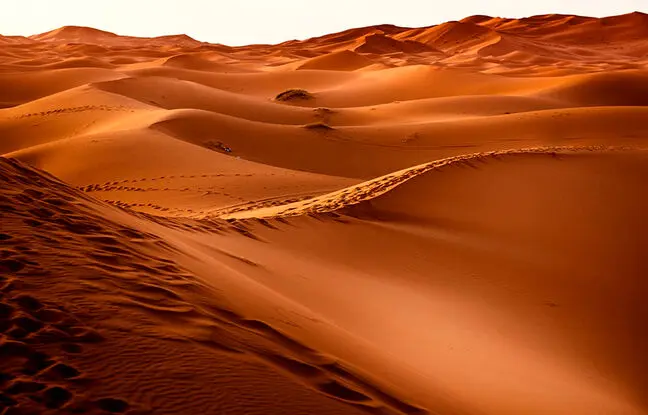 (ویدئو) یک راهکار ابتکاری و فوق العاده زیبای بیابان زدایی در صحرا
