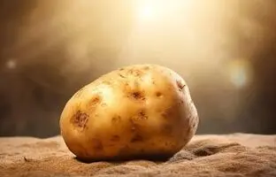 حیات ما به این سیب‌زمینی وابسته‌است!