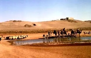 احتمالا انفجار یک دنباله‌دار کشاورزی در سوریه را کلید زده است