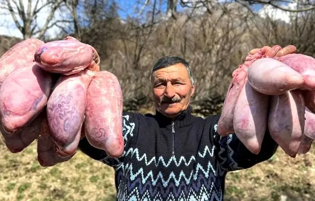 (ویدئو) پخت یک غذای محلی متفاوت با دنبلان توسط خانواده مشهور روستایی آذربایجانی