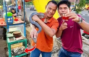 (ویدئو) غذای عجیب و پرطرفداری که تایلندی ها با خون و گوشت مار کبرا در خیابان طبخ می کنند!