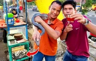 (ویدئو) غذای عجیب و پرطرفداری که تایلندی ها با خون و گوشت مار کبرا در خیابان طبخ می کنند!
