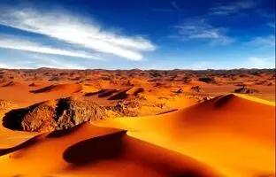 بزرگترین صحرای جهان روزگاری دو برابر آمازون جنگل داشت!