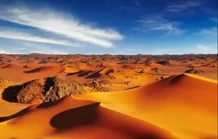 بزرگترین صحرای جهان روزگاری دو برابر آمازون جنگل داشت!