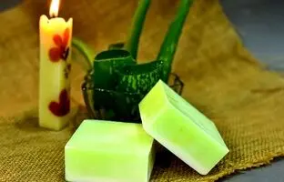 به همین سادگی صابون آلوئه ورا طبیعی بساز!