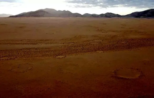 (تصاویر) مشاهده صدها حلقه جادویی مرموز در آفریقا و استرالیا از فضا برای اولین بار