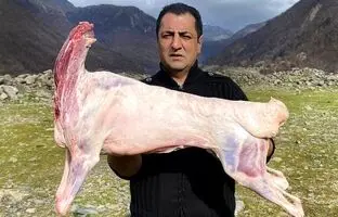(ویدئو) غذای روستایی؛ کباب کردن گوسفند 15 کیلوگرمی در تنور توسط آشپز آذربایجانی