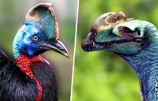 دایناسورهای زنده‌ای که بر روی زمین قدم می‌زنند!