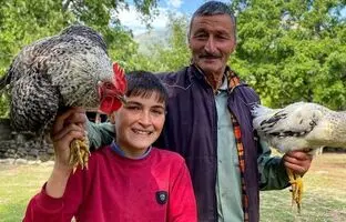 (ویدئو) پخت یک غذای سنتی با مرغ و خروس توسط خانواده خوش ذوق آذربایجانی