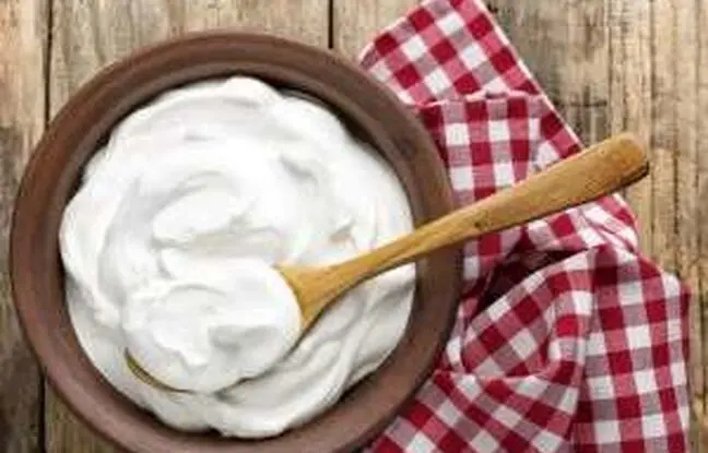 طرز تهیه ماست یونانی خوشمزه در خانه
