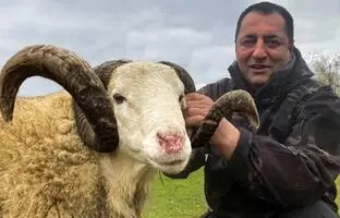 (ویدئو) غذا روستایی در آذربایجان؛ کباب کردن دیدنی 6 کیلوگرم دنده گوسفند در تنور
