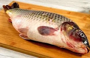 (ویدئو) آلمانی ها با ماهی کپور این غذای خوشمزه و ساده را پخت می کنند