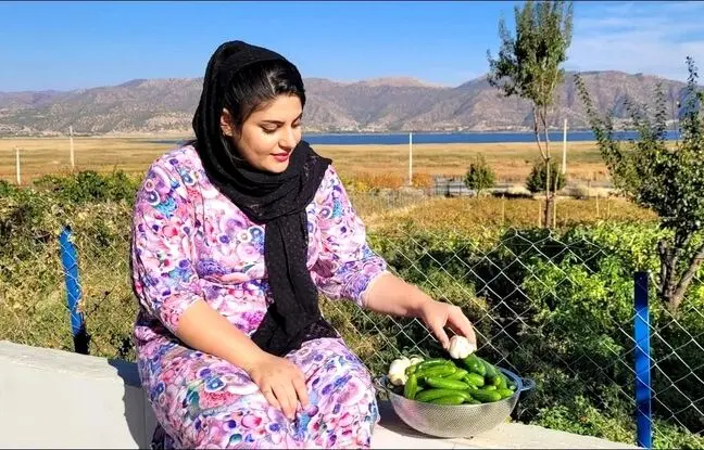 (ویدئو) پخت رول مرغ به سبک بانوی روستایی کردستانی