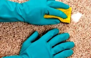 3 ترفند طلایی خانه‌داری با نمک؛ از بوگیری سینک ظرفشویی تا پاک کردن ظروف استیل