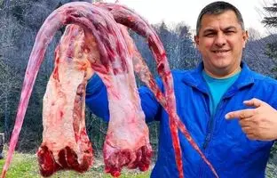 (ویدئو) پخت دیدنی دم گاو و دو اردک توسط آشپز مشهور روستایی روسی