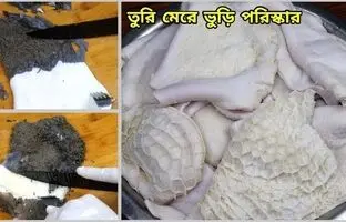 (ویدئو) پاک کردن سیرابی گاو به سبک آشپز مراکشی