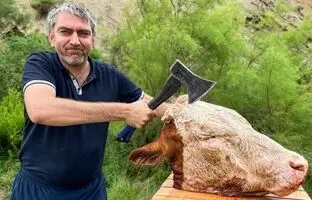 (ویدئو) غذای روستایی؛ طبخ دیدنی کله پاچه غول پیکر گاو به سبک آشپز روستایی چچنی
