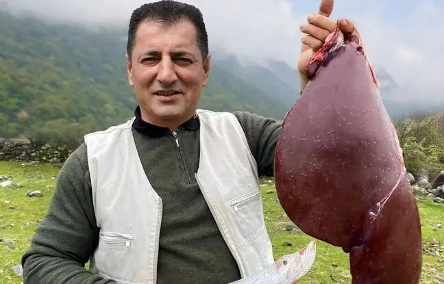 (ویدئو) طبخ کباب و واویشکا با جگر غول پیکر گاو توسط آشپز مشهور روستایی آذربایجانی