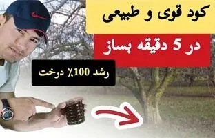 (ویدئو) این کود قوی و طبیعی رو 5 دقیقه ای توی خونه برای گیاهانت درست کن
