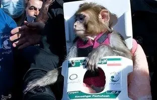 (تصویر) میمون‌های فضانورد ایرانی ۱۲ سال پس از پرتاب کجا هستند؟