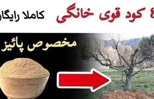 (ویدئو) بهترین کودهای طبیعی مخصوص فصل پاییز رو بدون هیچ هزینه ای برای گیاهانت درست کن