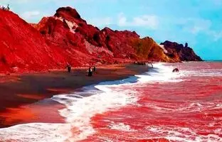 (ویدئو) جاری شدن سیل خون در هرمز!