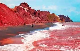 (ویدئو) جاری شدن سیل خون در هرمز!