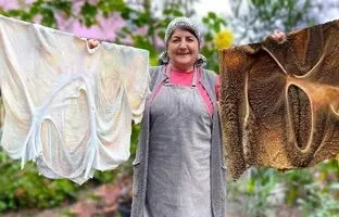 (ویدئو) پاک کردن سیرابی گاو به سبک بانوی روستایی آذربایجانی