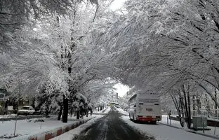 (ویدئو) بارش اولین برف پاییزی در تبریز