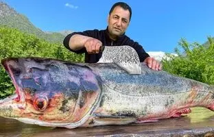 (ویدئو) کباب کردن ماهی غول پیکر 18 کیلوگرمی توسط آشپز مشهور روستایی آذربایجانی